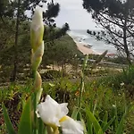 Magoito Beach-beautiful Walkways And Fossil Cliffs 公寓 *
