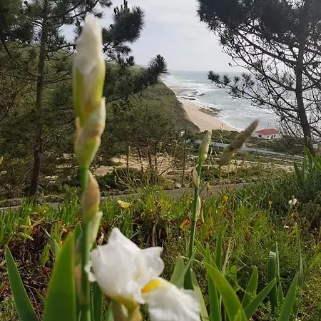 Magoito Beach-beautiful Walkways And Fossil Cliffs דירה *